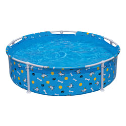 Bestway Piscine pour animal Fetchin' Fun