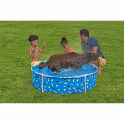 Bestway Piscine pour animal Fetchin' Fun - Vue supplémentaire 6
