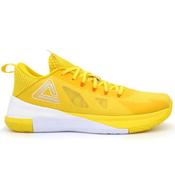 Chaussures indoor Peak Lightning X TD