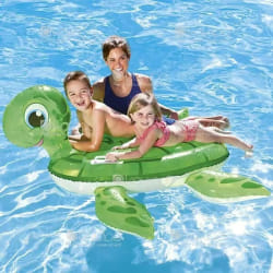 Moulage Général Méridional Bte/Chevauchable Tortue - 147Cm X 1