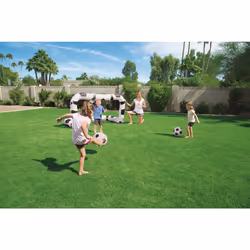 Bestway Jouet de jardin gonflable BUT DE FOOTBALL - 2.13m x 1.22m x1.37m