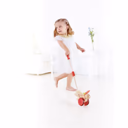 Hape E0340 jouet à tirer et à pousser