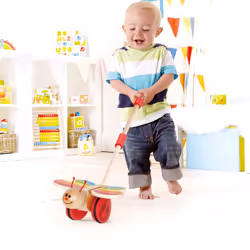 Hape E0340 jouet à tirer et à pousser