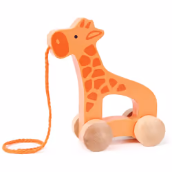 Hape E0906, 12 mois, Orange, 60 g