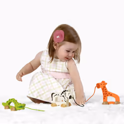 Hape E0906 jouet à tirer et à pousser