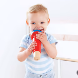 Hape E0337 jouet musical