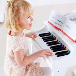 Hape E0338 jouet musical