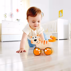 Hape E0363 jouet à tirer et à pousser