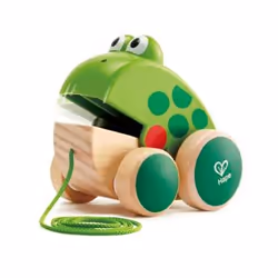 Hape Frog Pull Along, 12 mois, 4 roue(s), Vert, Bois