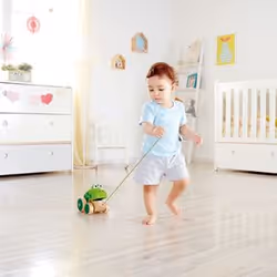 Hape Frog Pull Along