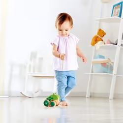 Hape Frog Pull Along