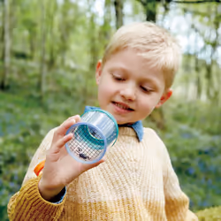 Hape Observation Habitat Insecte Vert, Transparent