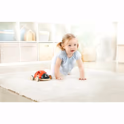 Hape Ladybug