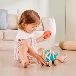 Hape E0366