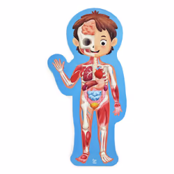 Hape Human Body
