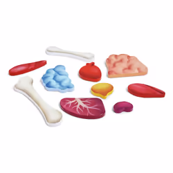 Hape Human Body Jeu de puzzle 60 pièce(s) Science - Vue supplémentaire 5
