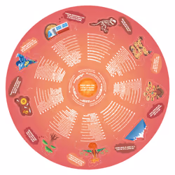 Hape E1637 puzzle Jeu de puzzle 38 pièce(s) Autres