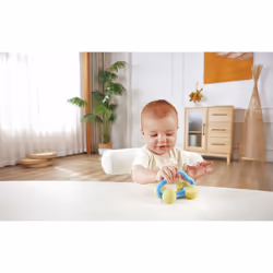 Hape Rattle & Roll toy car
