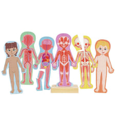 Hape Human Body Magnetic Puzzle Puzzle à formes Peuple