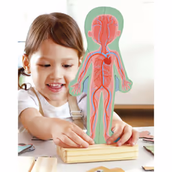 Hape Human Body Magnetic Puzzle Puzzle à formes Peuple - Vue supplémentaire 7