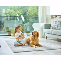 Hape Musician's Starter Recorder