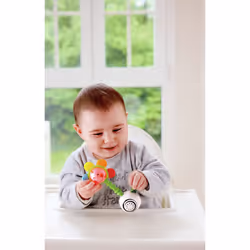 Hape Hochet fleur musical