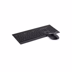 Rapoo 8900P, Taille réelle (100 %), Sans fil, RF sans fil, QWERTZ, Noir, Souris incluse