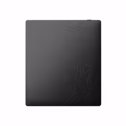 Onyx Boox Page Liseuse Écran tactile 32 Go Wifi Noir