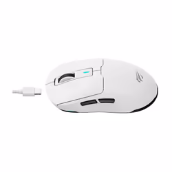 Havit MS969 WB souris Jouer Droitier RF Wireless + Bluetooth + USB Type-C 16000 DPI