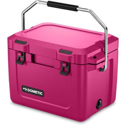 Glacière isotherme - DOMETIC - Patrol 20 - 19L - Poignée de transport inox - Conserve la glace plusieurs jours - Orchid