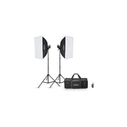 Kit 2 Studio Flash Godox MS300V f Noir et blanc