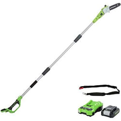 Unité de scie à perche Greenworks G24PS20K2; 24 V; 1x2,0 Ah accu.