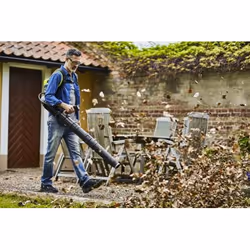 Greenworks GD60BPB souffleur de feuilles sans fil 225 km/h Noir, Vert