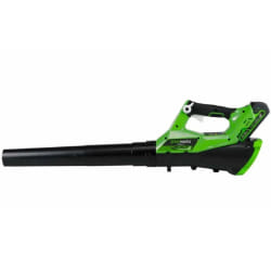 Greenworks Souffleur de feuilles avec batterie 40V