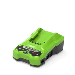 Greenworks 2932407 batterie et chargeur d’outil électroportatif Chargeur de batterie