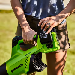 Souffleur de feuilles sans fil Greenworks GD24X2ABK2X; 48 V; 2x2,0 Ah accu.
