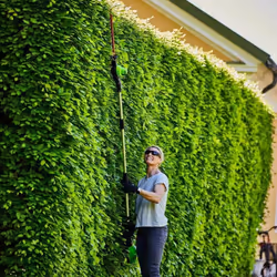 Outil de jardin multifonctionnel Greenworks G24PSHK2; 24 V; 1x2,0 Ah accu.