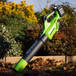 Souffleur de feuilles sans fil Greenworks G24X2AB; 2x24 V (sans batterie et chargeur)