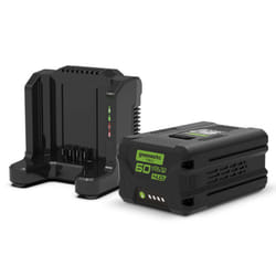 Greenworks GWGSK60B4 chargeur de batterie