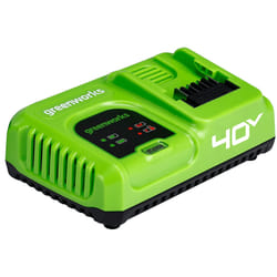 Greenworks 2945107 batterie et chargeur d’outil électroportatif Chargeur de batterie