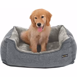 PRENEZ SOIN DE VOTRE COMPAGNON CANIN : Votre chien va enfin se sentir comme un membre de la famille à part entière grâce à ce ...