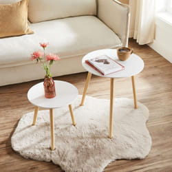 Lot de 2 Tables Basses, Table Ronde pour cafétéria, Table de Chevet, Style scandinave, Moderne, Minimaliste, Salon, Chambre, Blanc LET07WN