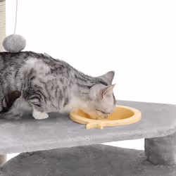 Feandrea PCT99W maison pour chat