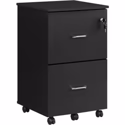 Description générale Ce caisson de bureau à deux tiroirs spacieux est idéal pour organiser votre paperasse. Il est compatible ...