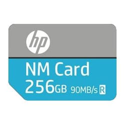 HP NM100 256 Go MicroSD UHS-III Classe 10