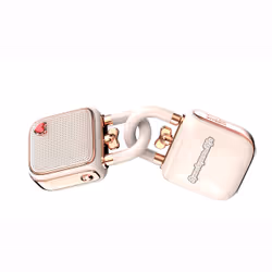 Divoom LoveLock Enceinte portable mono Rose 5 W