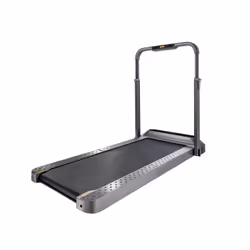 Kingsmith Tapis de course électrique TRR2F R2