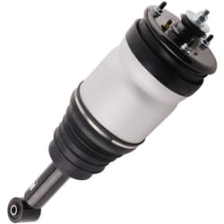 Arrière Gauche Droit Air Suspension Strut for Land Rover Range Rover Discovery