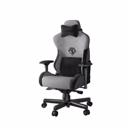 Anda Seat T-Pro II Fauteuil de gaming Siège rembourré Noir, Gris