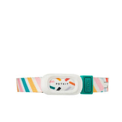 Petkit - Collier analyseur d'activités pour chiens Moyen 33-55cm